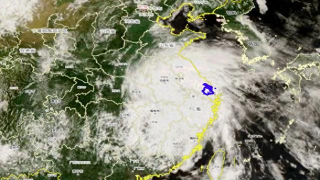 白海豚的雨在台风里属于什么水平