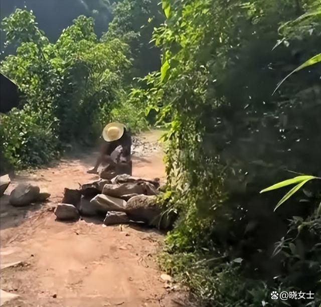 警方回应峨眉山游客停车遭村民堵路