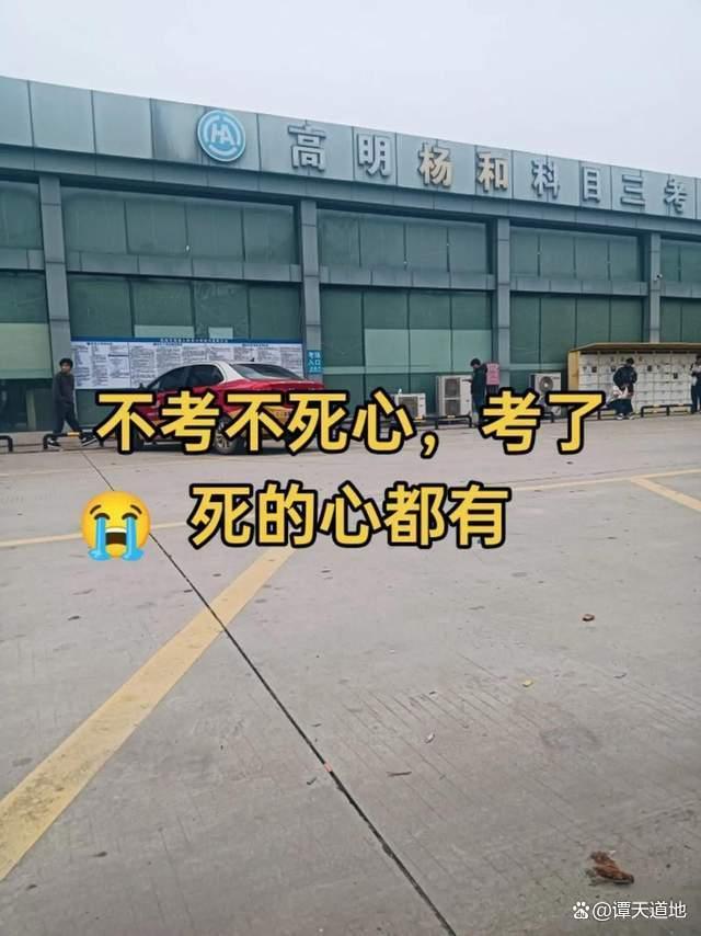 00后不急着考驾照了 出行方式多样化
