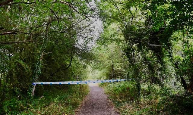 英国一德牧咬死人主人涉嫌谋杀被捕 警方呼吁目击者协助调查