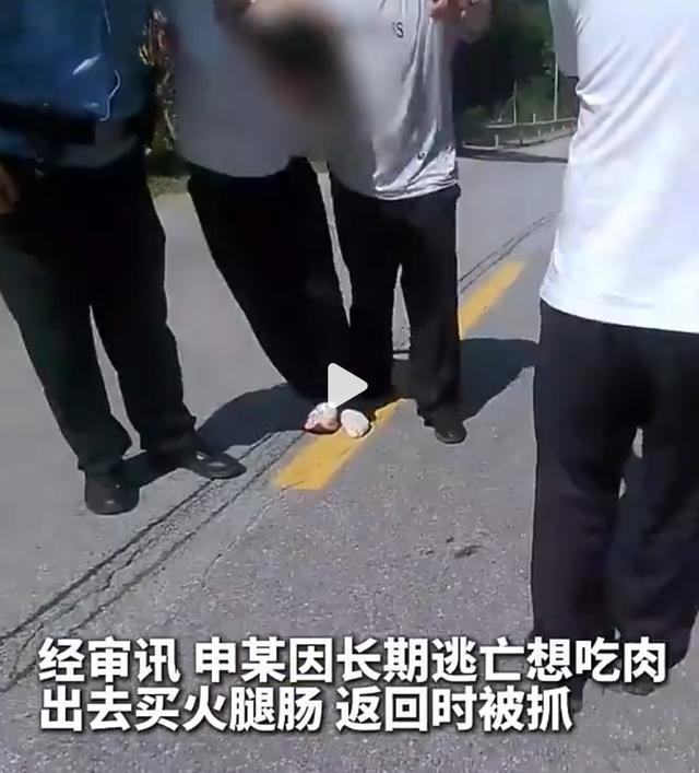 男子盗窃后躲进深山因想吃肉被抓 警方7个月追踪终擒获