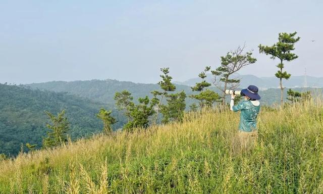 山东拍到“大怪鸟” 罕见巨鹳现身