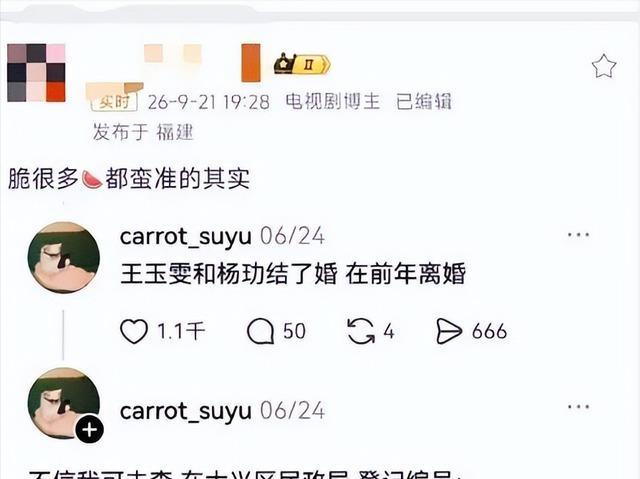 杨玏王玉雯体面 隐婚离婚传闻再起