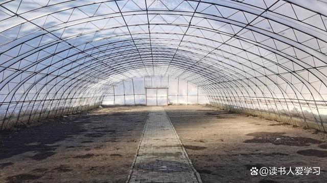 千亩耕地竟遭撂荒 荒废多年仍领补贴 虚假项目套取补贴