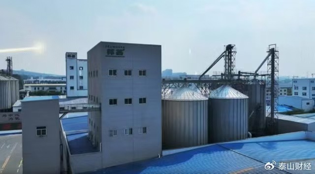 增收不增利！邦基科技一季度净利骤降85.56%，应收账款高企成隐忧