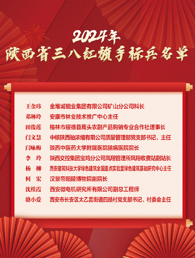 2024年陕西省三八红旗手名单公布
