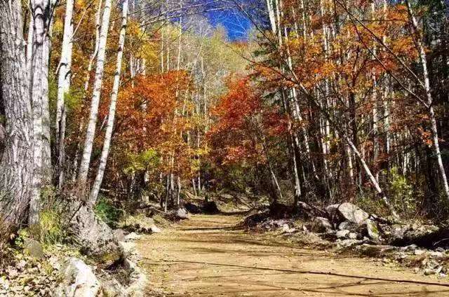 Roaming Shanxi: An Encounter with Autumn Hues (Central Shanxi)