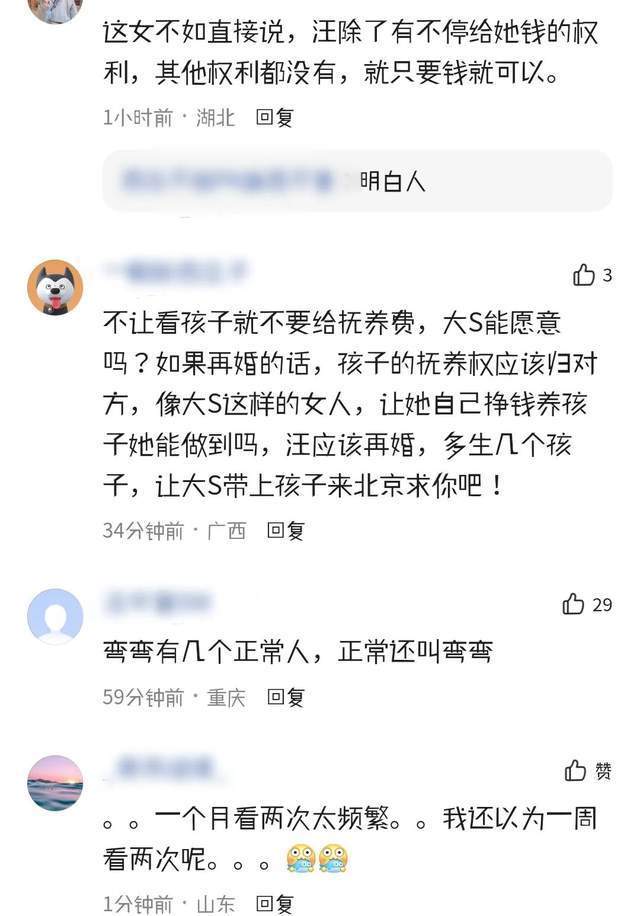 这一次，限制汪小菲探视孩子的大S，即使辟谣也不再被网友容忍了