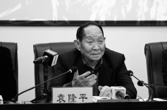 痛悼!袁隆平逝世,享年91岁!