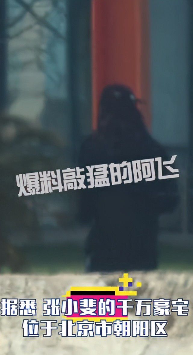 张小斐开豪车独自喝咖啡 爆红后被曝住千万豪宅