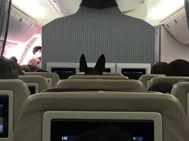 晚报|中方谈美在阿富汗角色 本土确诊降至个位数