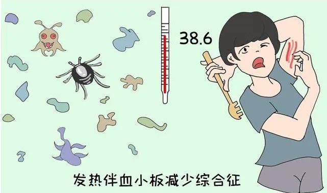 “五一”出游谨防蜱虫叮咬，预防指南来了