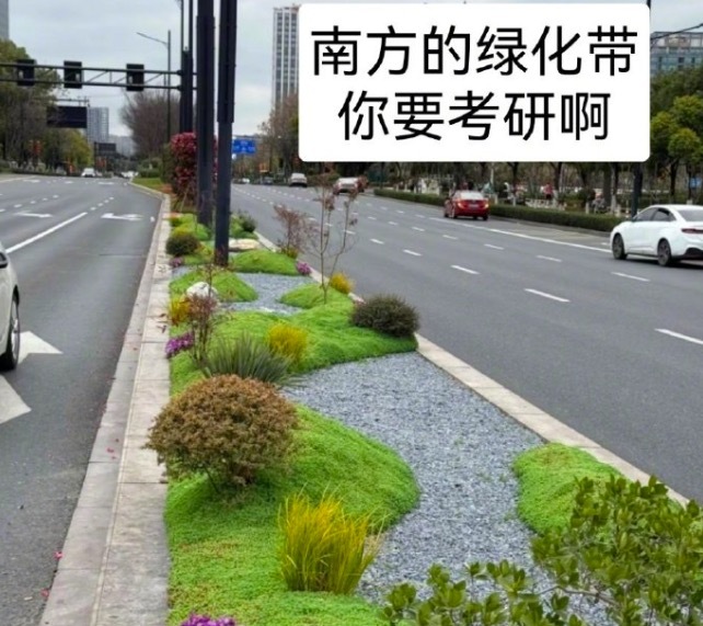 南边绿化带是要进修吗?