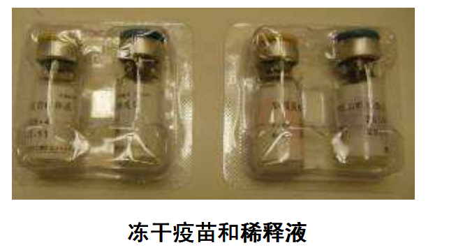 狂犬病疫苗VVM监测技术：从实验室到全球应用的革新之路