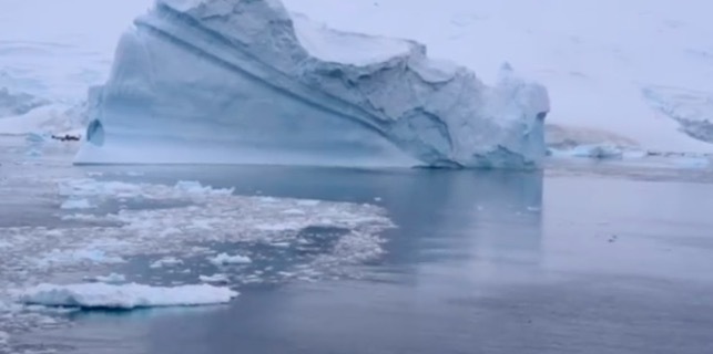 26岁去南极后发现东谈主生莫得特地！