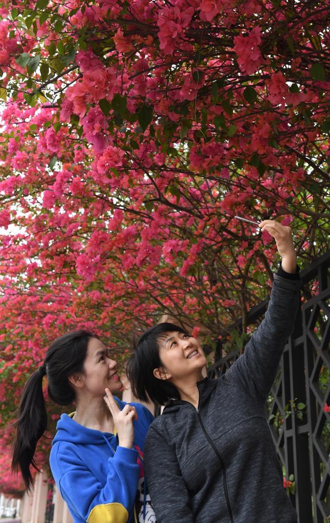 四季皆芳菲,这座城市“人间四月天”全年不打烊