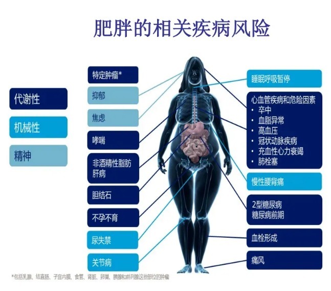 全国体重管理体医联盟在上海成立，产学研深度衔接赋能健康中国