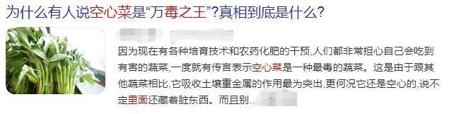 空心菜是“萬毒之王”嗎 你的身體會感謝你