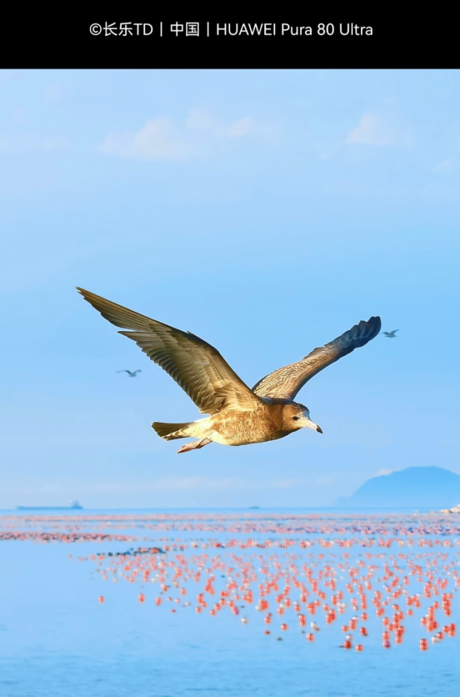华为重返巴黎大皇宫！时隔六年再度携手 Paris Photo 举办 XMAGE 影像大展