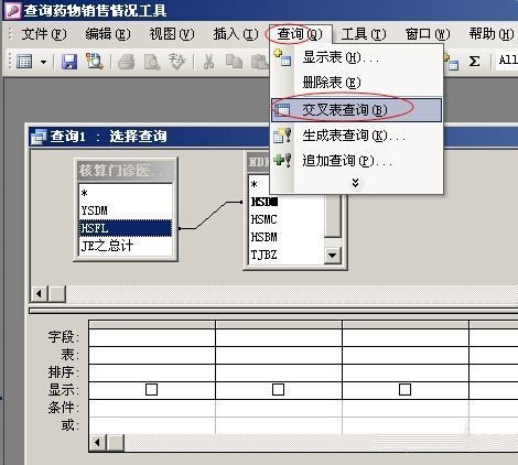 access交叉表怎么进行可观性查询