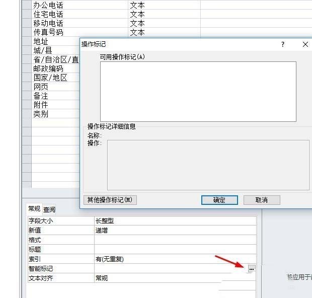 access中如何对字段进行智能标志