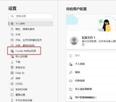 如何在Edge浏览器查看Cookie数据