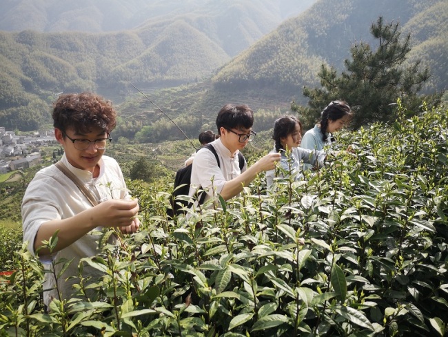 乡村振兴 金山时雨 