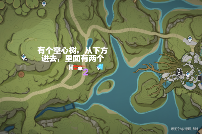 原神树王圣体菇全收集路线
