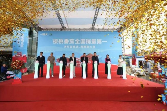 日销近70吨！一颗大™沈阳曲牌开柜仪式圆满举行，引爆东北批发市场