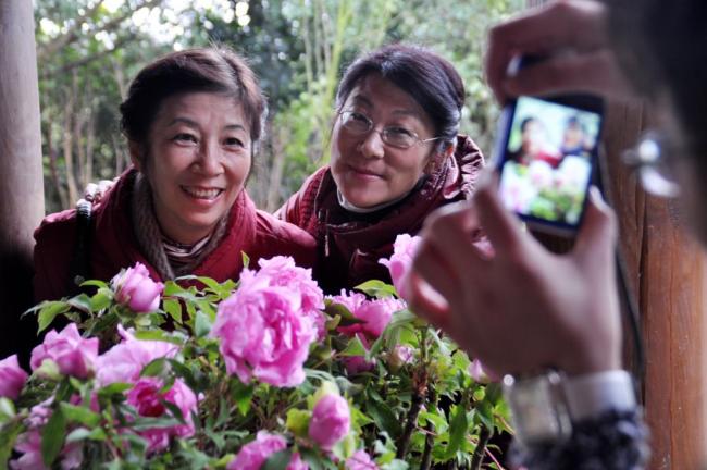 四季皆芳菲,这座城市“人间四月天”全年不打烊