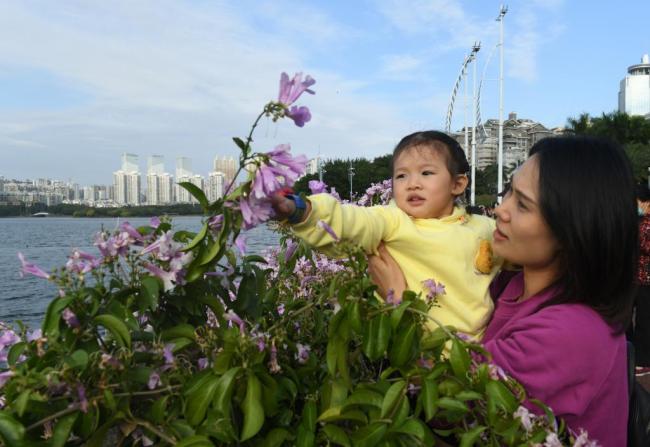 四季皆芳菲,这座城市“人间四月天”全年不打烊