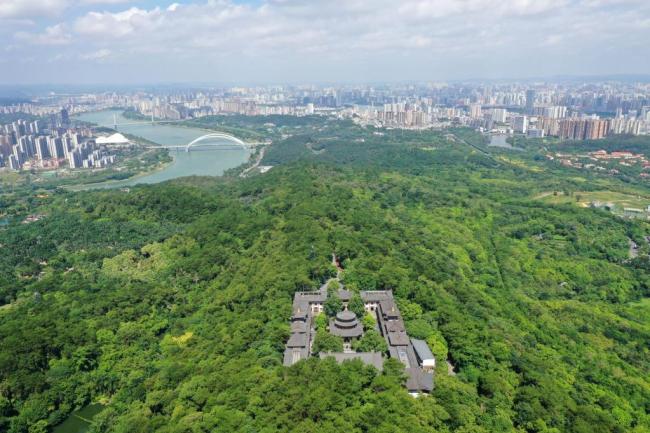 四季皆芳菲,这座城市“人间四月天”全年不打烊