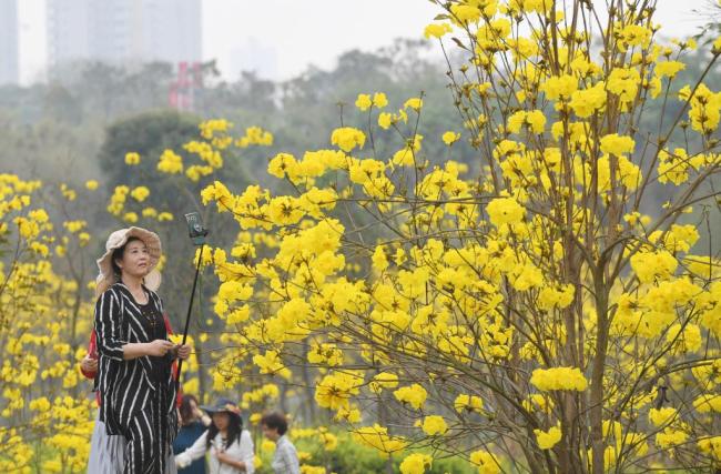 四季皆芳菲,这座城市“人间四月天”全年不打烊