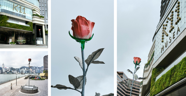 8.5米巨型玫瑰诠释浪漫基因 再筑“品位高地” 