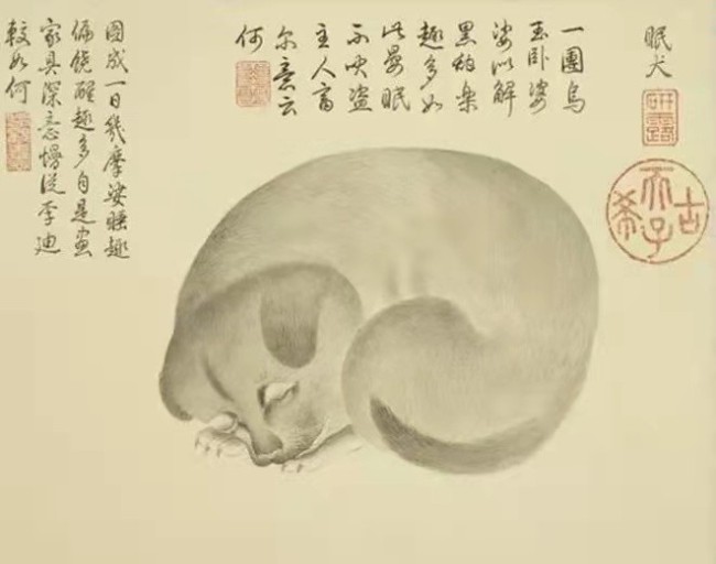 清 金廷标《眠犬》局部 台北故宫博物院藏