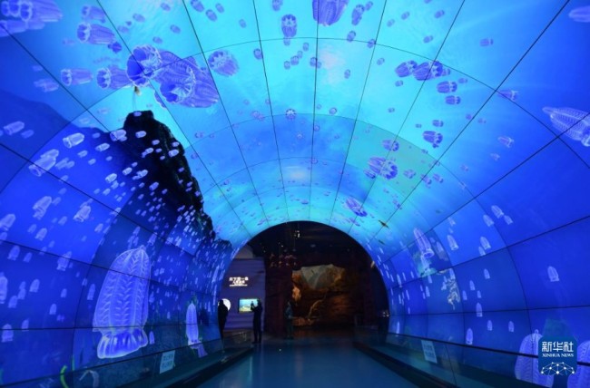 10月13日在澄江化石地世界自然遗产博物馆拍摄的寒武纪海底隧道。