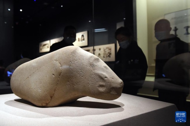 　　10月30日，市民在安徽博物院参观凌家滩遗址出土的玉（石）猪。新华社记者 周牧 摄