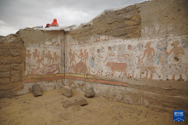 埃及发现拉美西斯二世时期高级官员陵墓