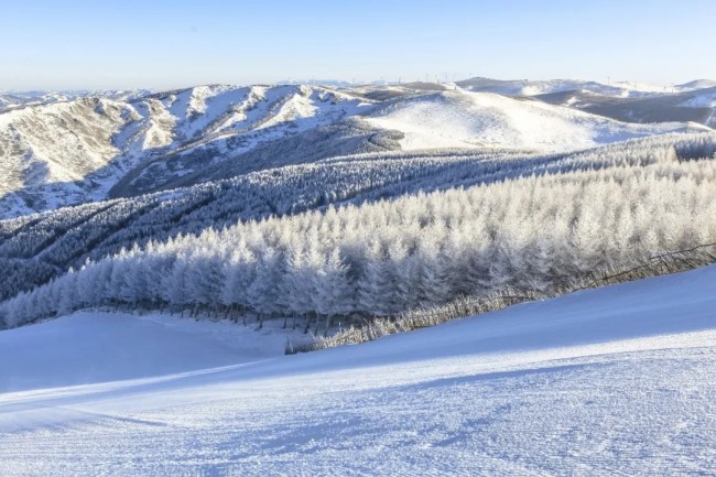 河北张家口崇礼是著名的滑雪胜地，纬度在41°左右，与欧洲的滑雪胜地阿尔卑斯山相同