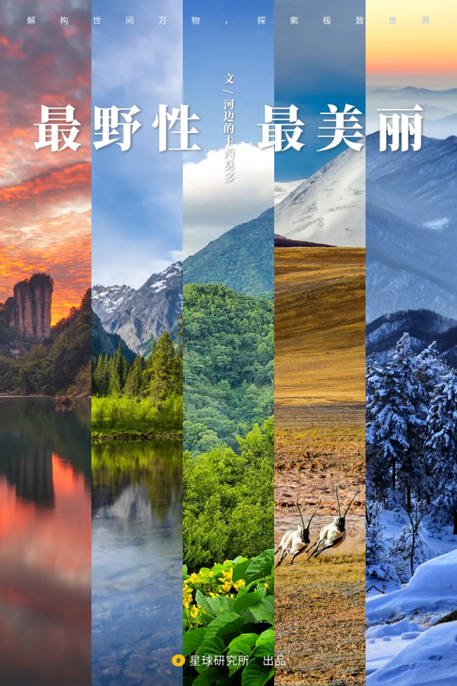 出发！看中国五大国家公园