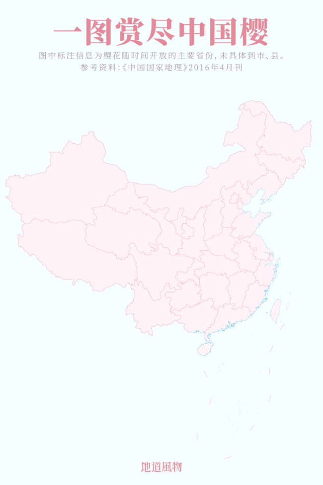 中国云赏樱地图。制图/孙璐，设计/吴玖洋