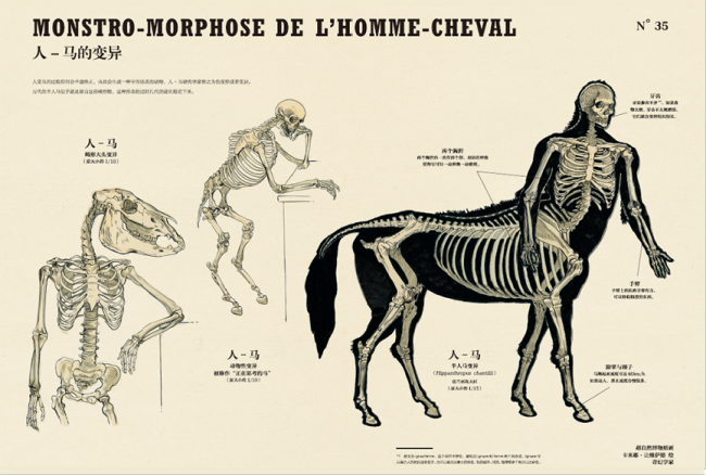 人-马的变异(《博物学家的神秘动物图鉴》内页）