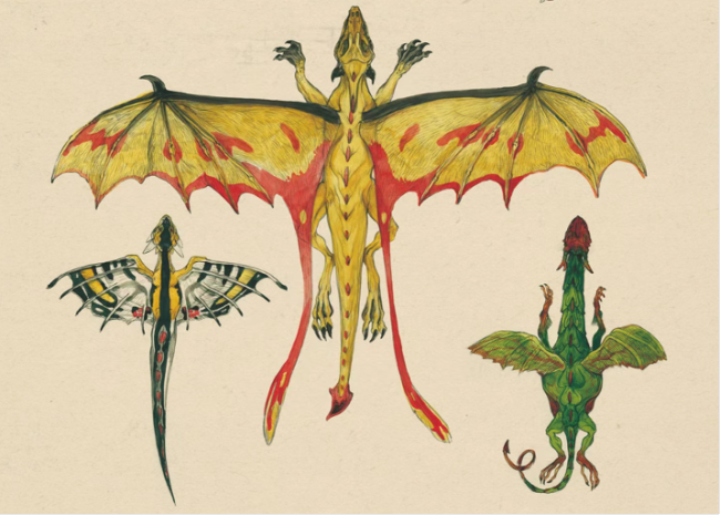 从左到右依次为梅斯的格拉乌力龙、兰斯的飞龙及鲁昂的石像龙(《博物学家的神秘动物图鉴》内页）