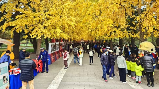 中国画院获颁优秀合作伙伴奖杯