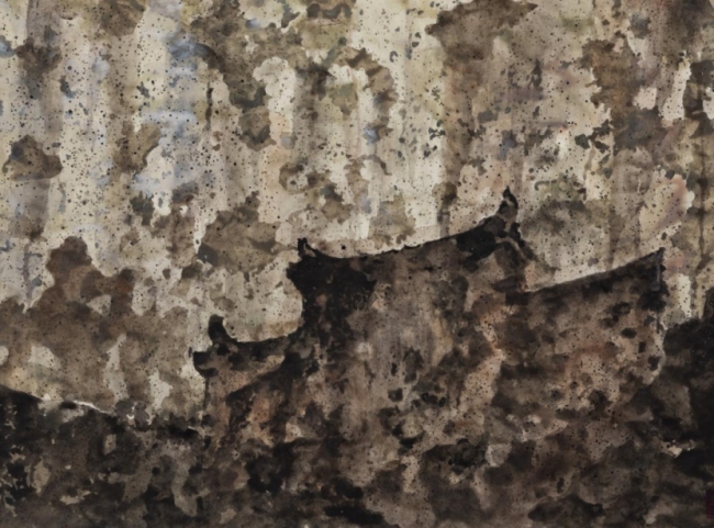 “接纳中国绘制变革的力量”  ——24位名家汇评邢斯恬创作