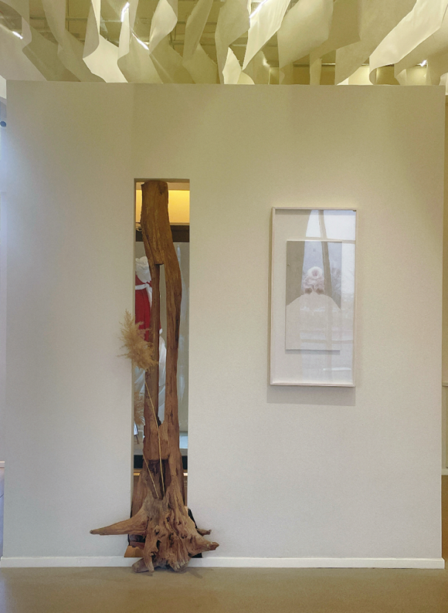 「生灵絮语：石荣强艺术展」2026年1月16日启幕，水墨生灵演绎当然共生之好意思