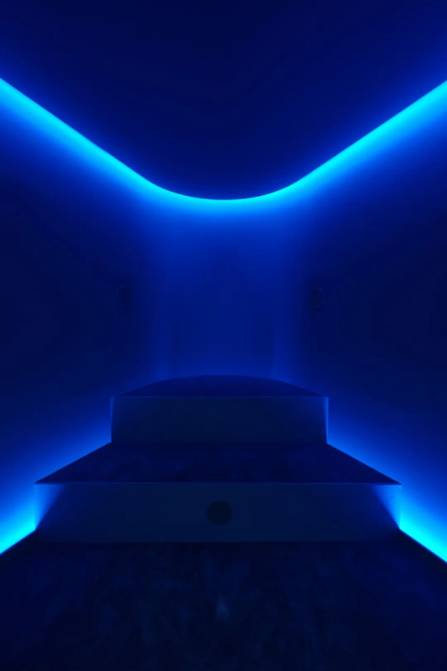 2026开年王炸！毕加索、马蒂斯皆聚北京，给你点颜色望望！