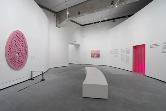 2026开年王炸！毕加索、马蒂斯皆聚北京，给你点颜色望望！