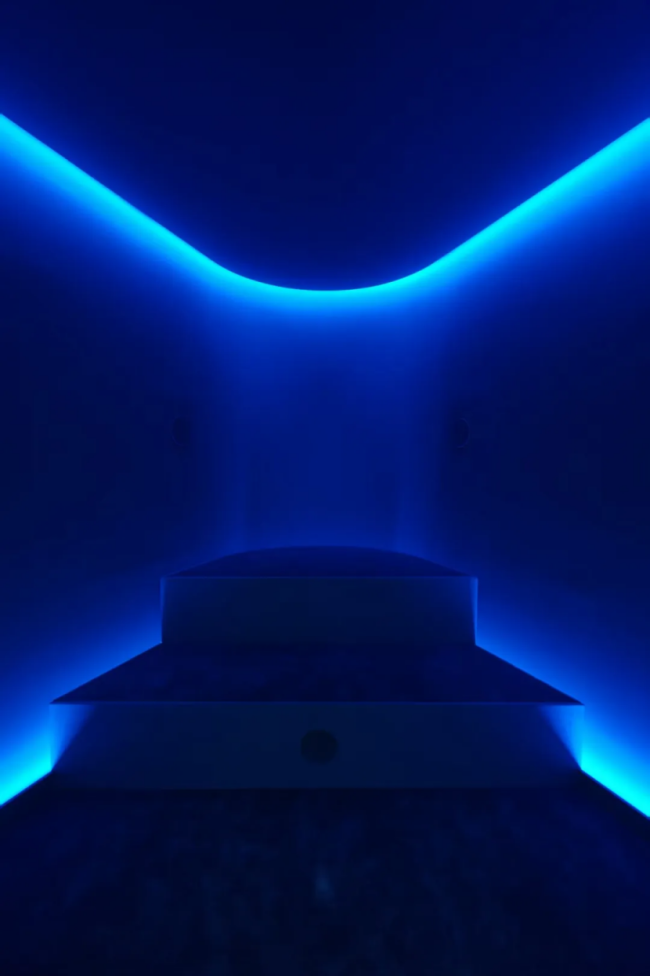 2026开年王炸！毕加索、马蒂斯皆聚北京，给你点颜色望望！