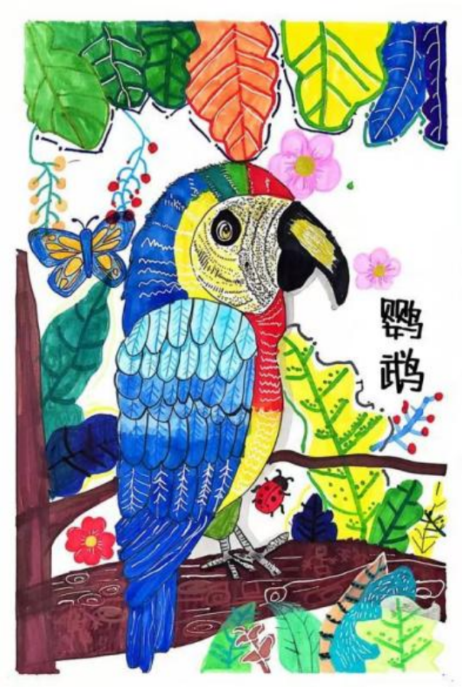 小小科学家 大大设想力